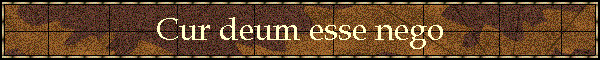Cur deum esse nego