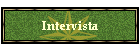 Intervista