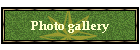 Photo gallery
